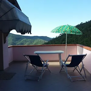 Olivella Caminata N 41g , Casarza Ligure Italien