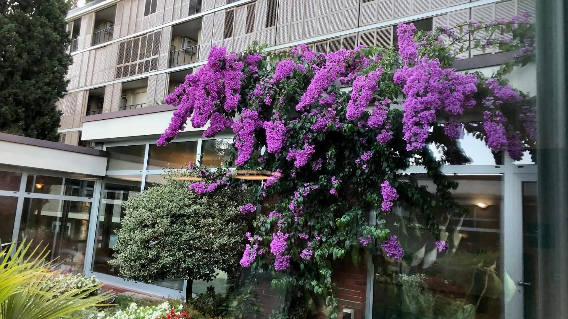 Residence Villa Alba Gardone Riviera